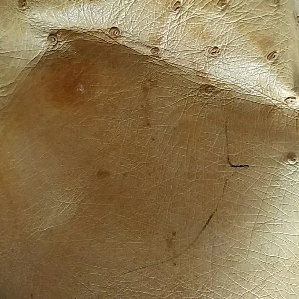 Authentic ostrich bag